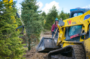 Wacker Neuson Skid Steers moving dirt