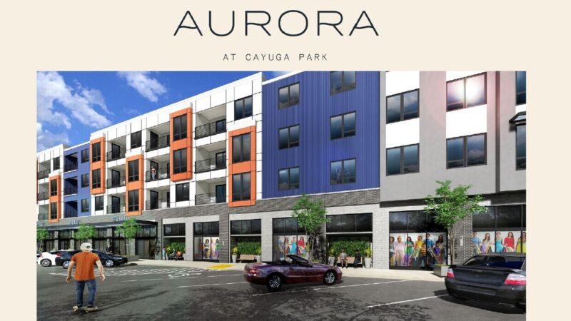 The Aurora